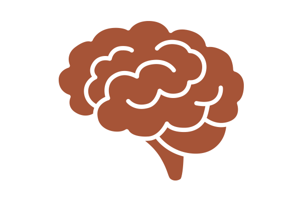 Illustration of human brain